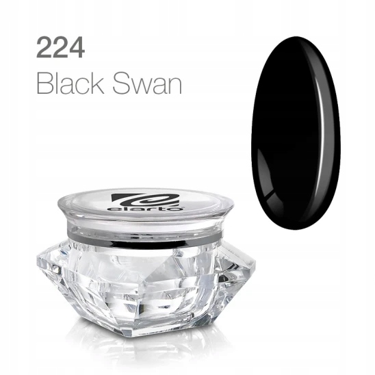 Żel do zdobień Elarto Paint Gel Black Swan 5g